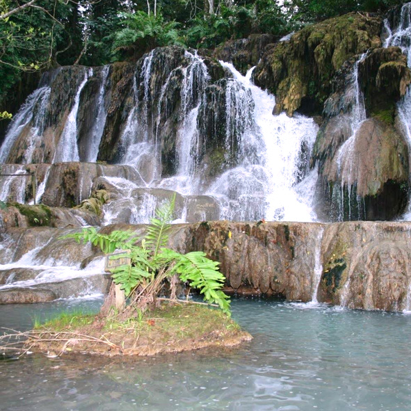 Visitar la Reserva Ecológica Kolem Jaá - TABASCO, MARAVILLAS NATURALES
